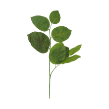 Salalkvistar für Wanderstock – 1 Stück