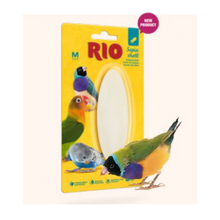 RIO Sepia Skal - M | Endast 59 kr! - Zoogiganten