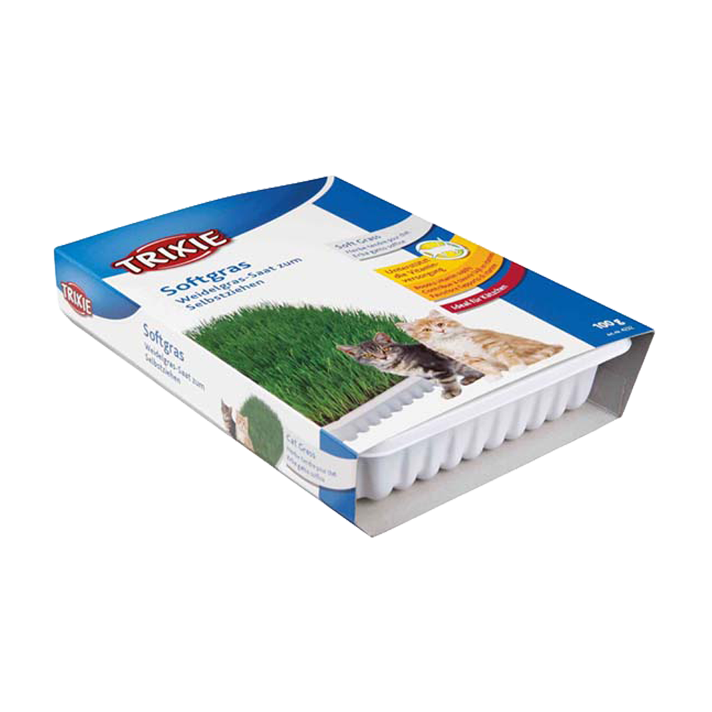 Katzengras Weich Vitaminangereichert mit Anzuchtkasten Ca. 100 G