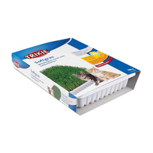 Katzengras Weich Vitaminangereichert mit Anzuchtkasten Ca. 100 G