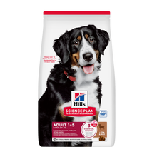 Science Plan Canine Adult Large Breed Lamm & Reis – 12 kg