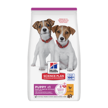 Science Plan Puppy Small&Mini Chicken – 3 kg