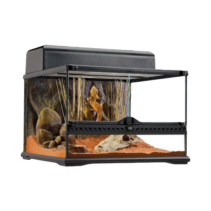 Terrarium Exoterra S Low - 45X45X30 CM | Endast 1999 kr! - Zoogiganten