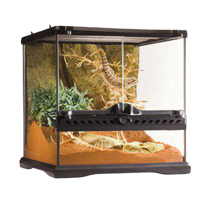 Terrarium Exoterra Mini Wide - 30X30X30 CM | Endast 1119 kr! - Zoogiganten