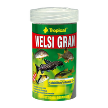 Tropical Welsi Gran - 55 G | Endast 69 kr! - Zoogiganten