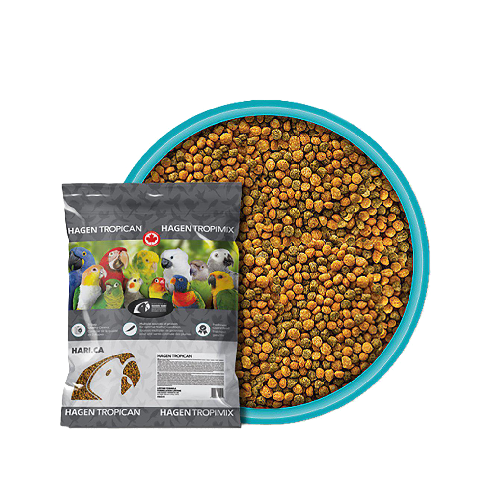 Tropican Underhåll Papegoja | Endast 159 kr! - Zoogiganten