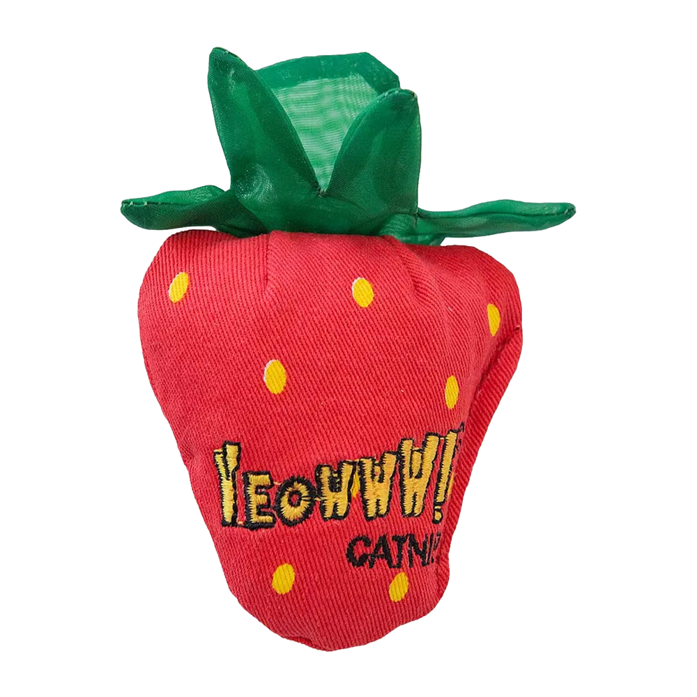 Yeowww Katzenminze Erdbeere Rot
