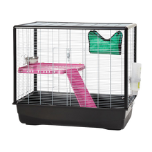 Gnagarbud Zeno 2 Knock Down